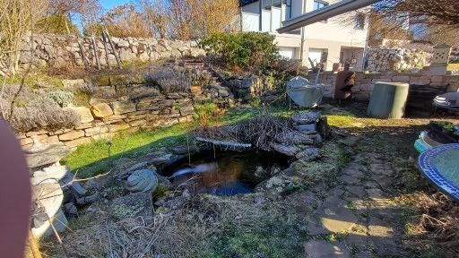 Samsung 27.02.25 021.jpg