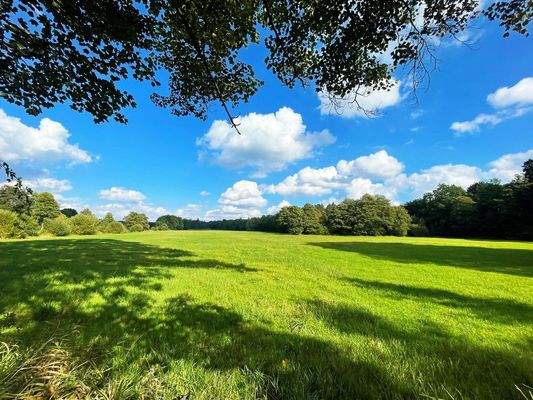 angrenzende Seevewiesen