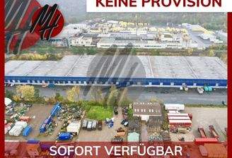 INFOS UNTER: 06171-586000