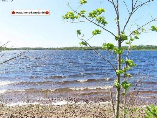 Cape Breton - Wunderschönes 11-Hektar-Areal mit 23
