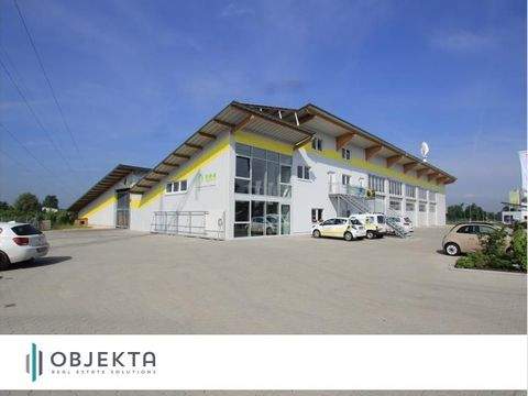 Leipheim Halle, Leipheim Hallenfläche