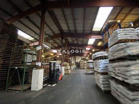 Hamburg Halle, Hamburg Hallenfläche