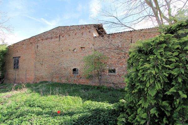 Garten hinten (2).jpg