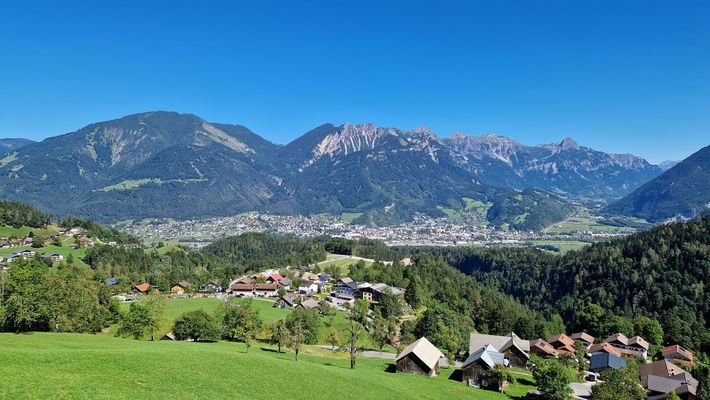 20240907_140141_verkleinert.jpg