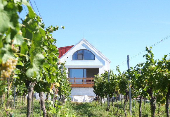 Snímek obrazovky 2025-11-06 150644.png