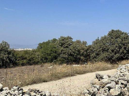 Kreta, Gallos: Erstklassiges Grundstück mit Meerblick zu verkaufen