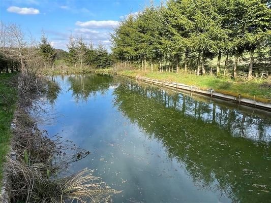 Hofeigener Teich mit Quelle des Prümerbachs (Mitt