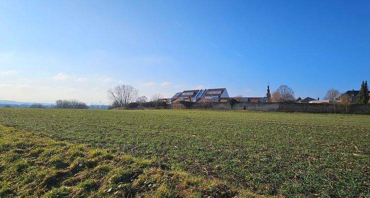 Feldrand in unmittelbarer Nähe!
Golfplatz in 2 Gehmin.