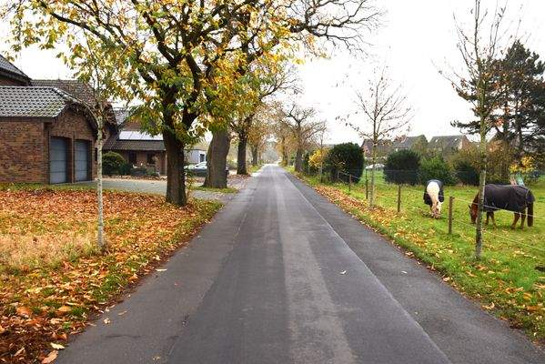Straße Richtung Alpen