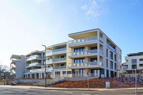 Dresden Wohnungen, Dresden Wohnung mieten