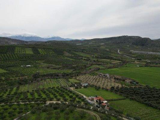 Kreta, Agies Paraskies: Großes Grundstück zu verkaufen