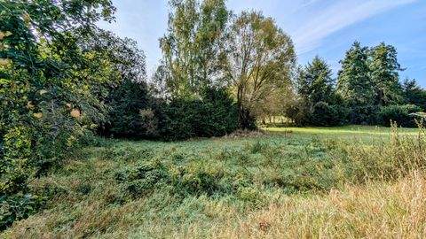 Zellingen Grundstücke, Zellingen Grundstück kaufen