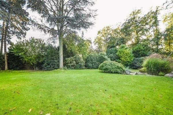 Wunderschöner Sonnengarten