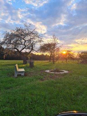 Landwirtschaftsfläche