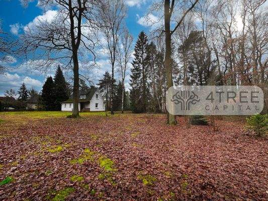 Herrlich weitläufige Liegenschaft