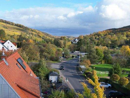 Blick auf Weinberge & Wald