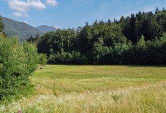Bergblick, Wälder und Wiesen