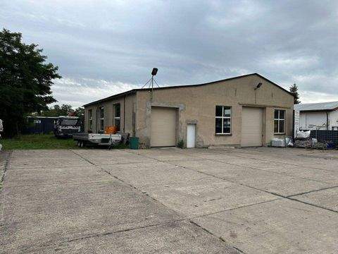 Zehdenick Halle, Zehdenick Hallenfläche