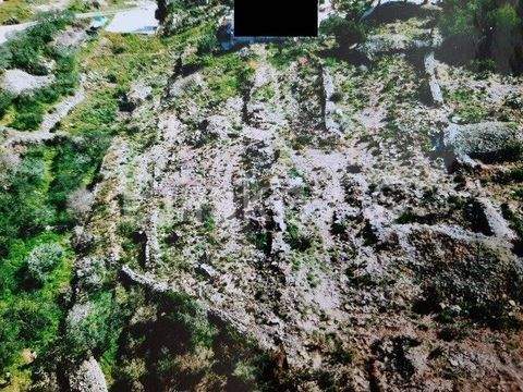 Vis Bauernhöfe, Landwirtschaft, Vis Forstwirtschaft