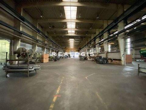 Harsewinkel Halle, Harsewinkel Hallenfläche