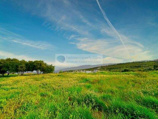 img_251ef1b6-74d0-4548-9c21-8a71d28a94e9