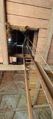 k-H19 12  Bauernhaus Scheune 3.jpg