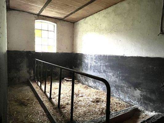 Stallteil innen 