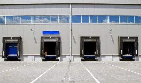 Titz Halle, Titz Hallenfläche