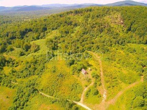 Slunj Bauernhöfe, Landwirtschaft, Slunj Forstwirtschaft