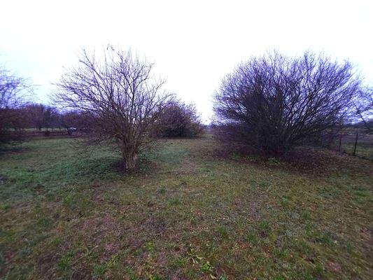 20251205_153215 (1).jpg