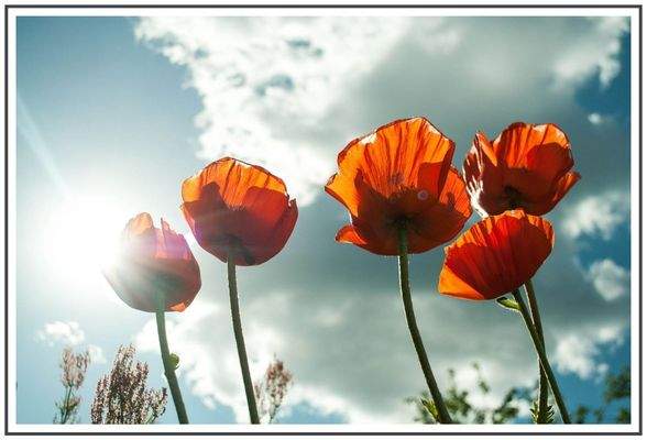 HERZLICH WILLKOMMEN sagt HENSEL IMMOBILIEN!