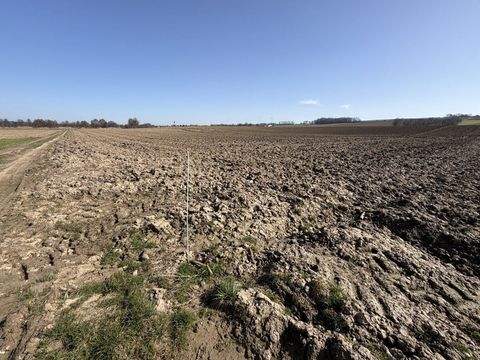 Reisbach / Niederhausen Bauernhöfe, Landwirtschaft, Reisbach / Niederhausen Forstwirtschaft
