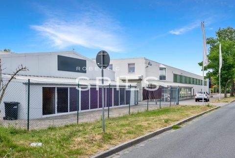 Weyhe Halle, Weyhe Hallenfläche