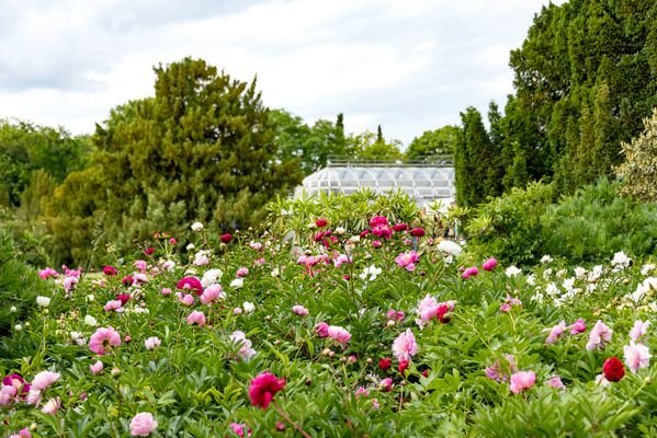 BotanischerGarten_5197