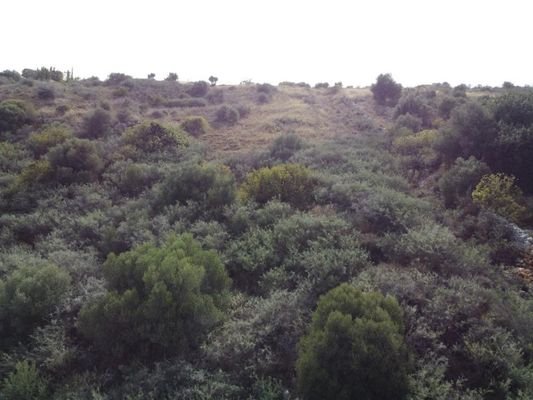 Kreta, Douliana : Atemberaubendes Grundstück mit Meerblick zu verkaufen