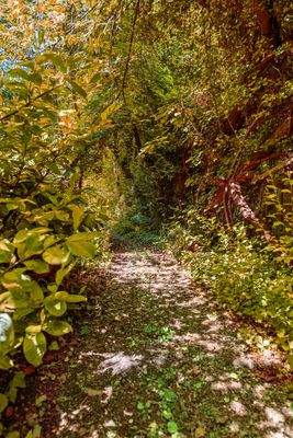 Idyllischer Weg zur Amper