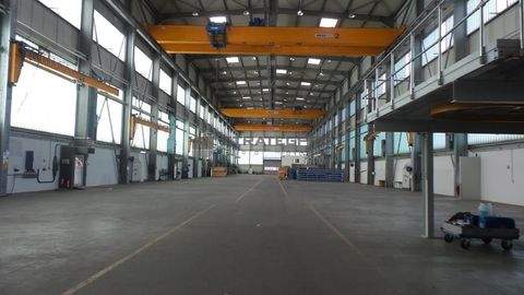 Frankenthal Halle, Frankenthal Hallenfläche