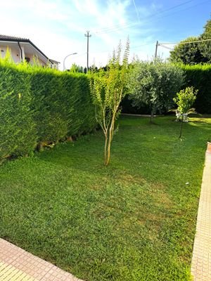 Gartenbereich