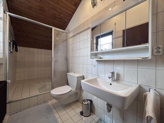 Duschbad Dachgeschoss
