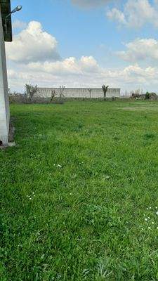 WhatsApp Image 2024-03-14 at 12.28.09.jpeg