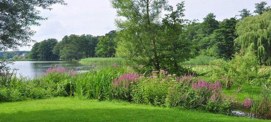 Bad Saarow Wasser.jpg