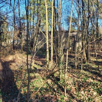 Blick auf das Grundstück