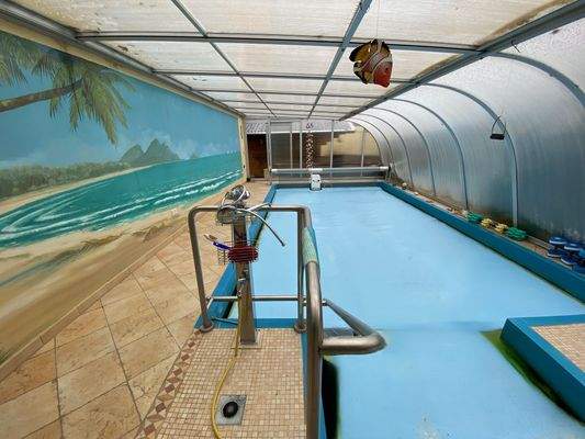 großer Pool mit Gegenstrom Anlage (2).jpeg