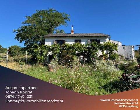 Markt Neuhodis Häuser, Markt Neuhodis Haus kaufen