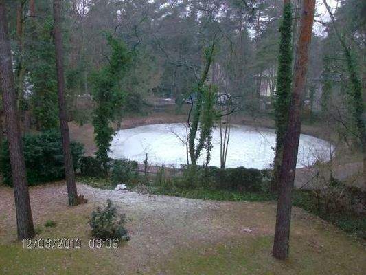 Blick aus dem Wintergarten