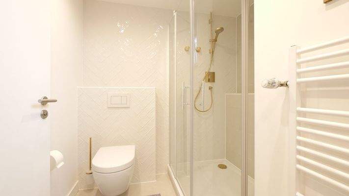 266 Tageslichtbad Dusche (1 von 1).jpg