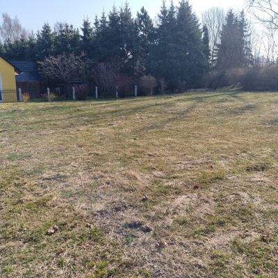 Ansicht straßenseitig - Blickrichtung Süd-Ost