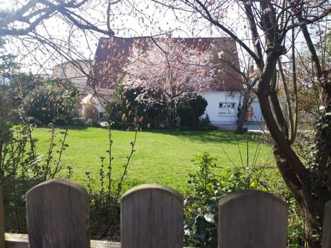 Amberg Häuser, Amberg Haus kaufen
