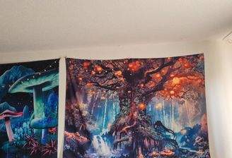 WhatsApp Image -- at ..