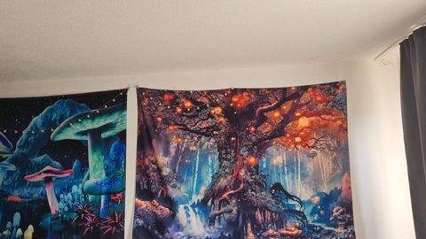 Loxstedt Wohnungen, Loxstedt Wohnung kaufen